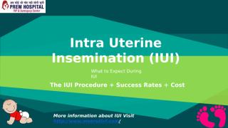 IUI Treatment & Procedure.pptx