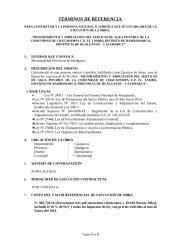 903,724.18 ADP TDR EJECUCION DE OBRA INST. SERV. AGUA POTABLE Y SANEAM CAS CHACAPAMPA-EL TAMBO-BAMBAMARCA.doc